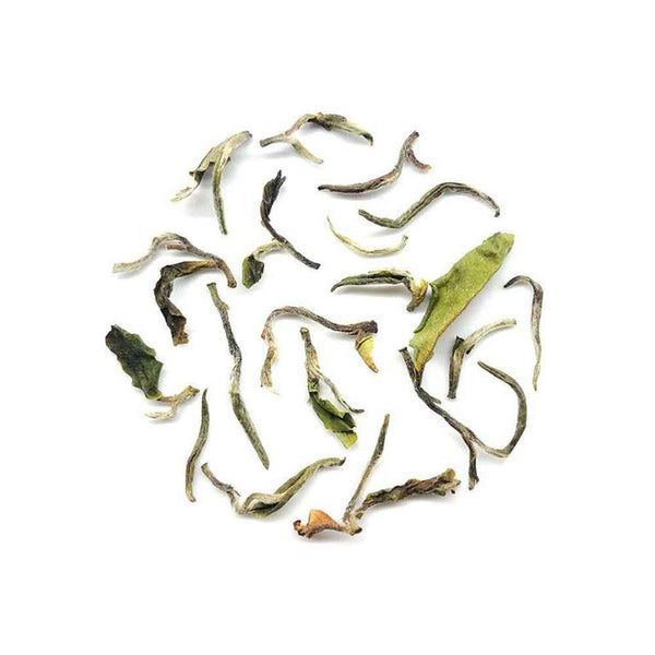 Rohini Spring White Tea
