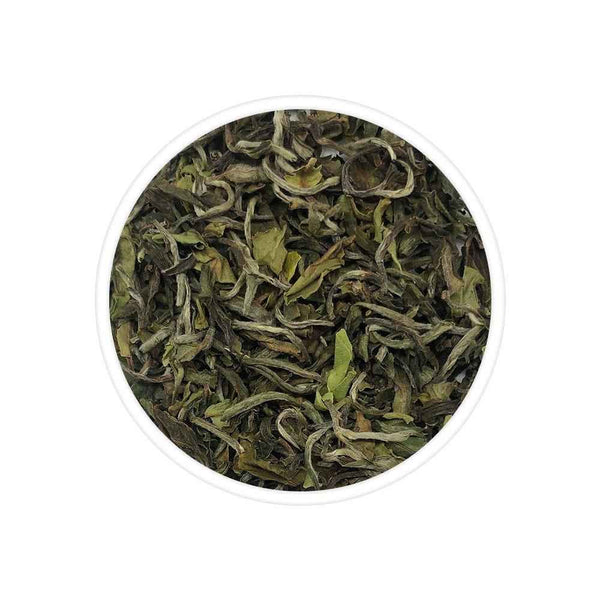 Rohini Spring White Tea
