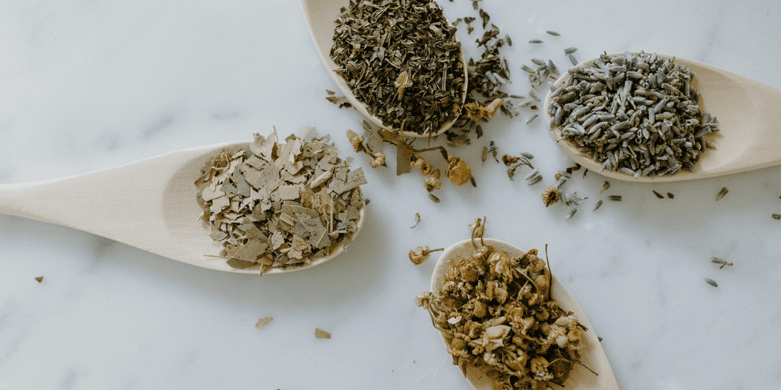 The Master List: 10 Essential Detox Tea Herbs and What They Do