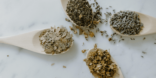 The Master List: 10 Essential Detox Tea Herbs and What They Do